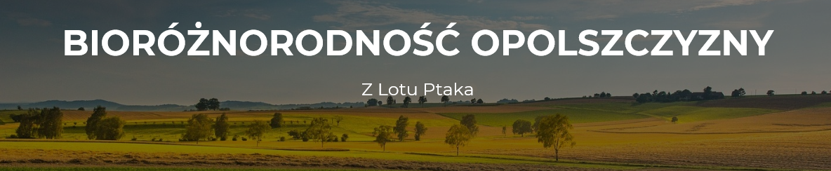 Partnerzy projektu - logo